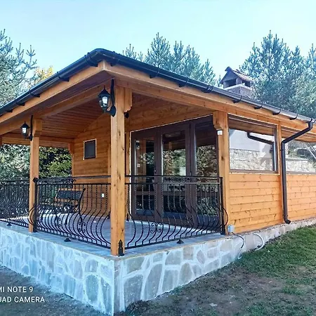 хоризонт تسيغوف تشارك